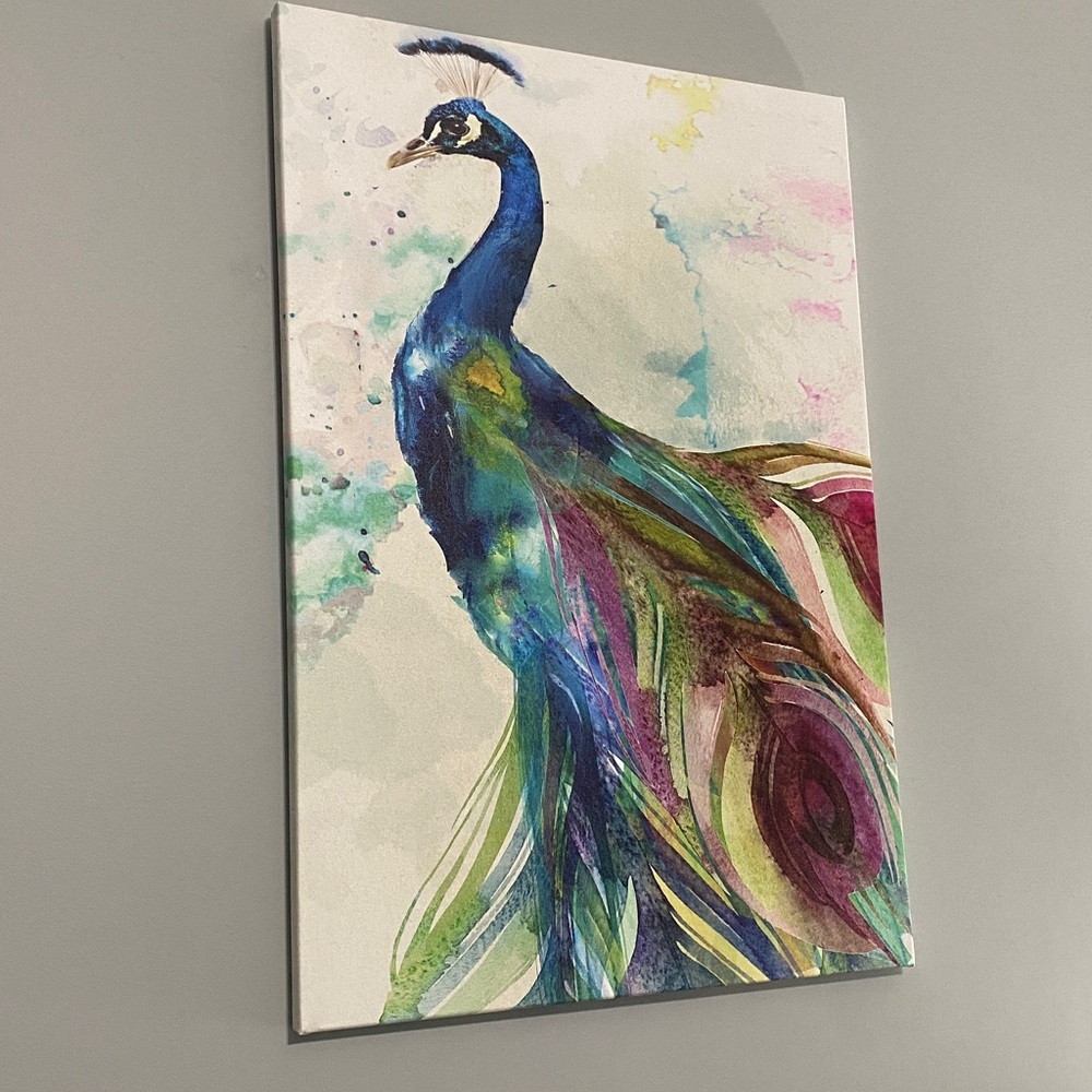 Peacock Canvas Print Wall Art